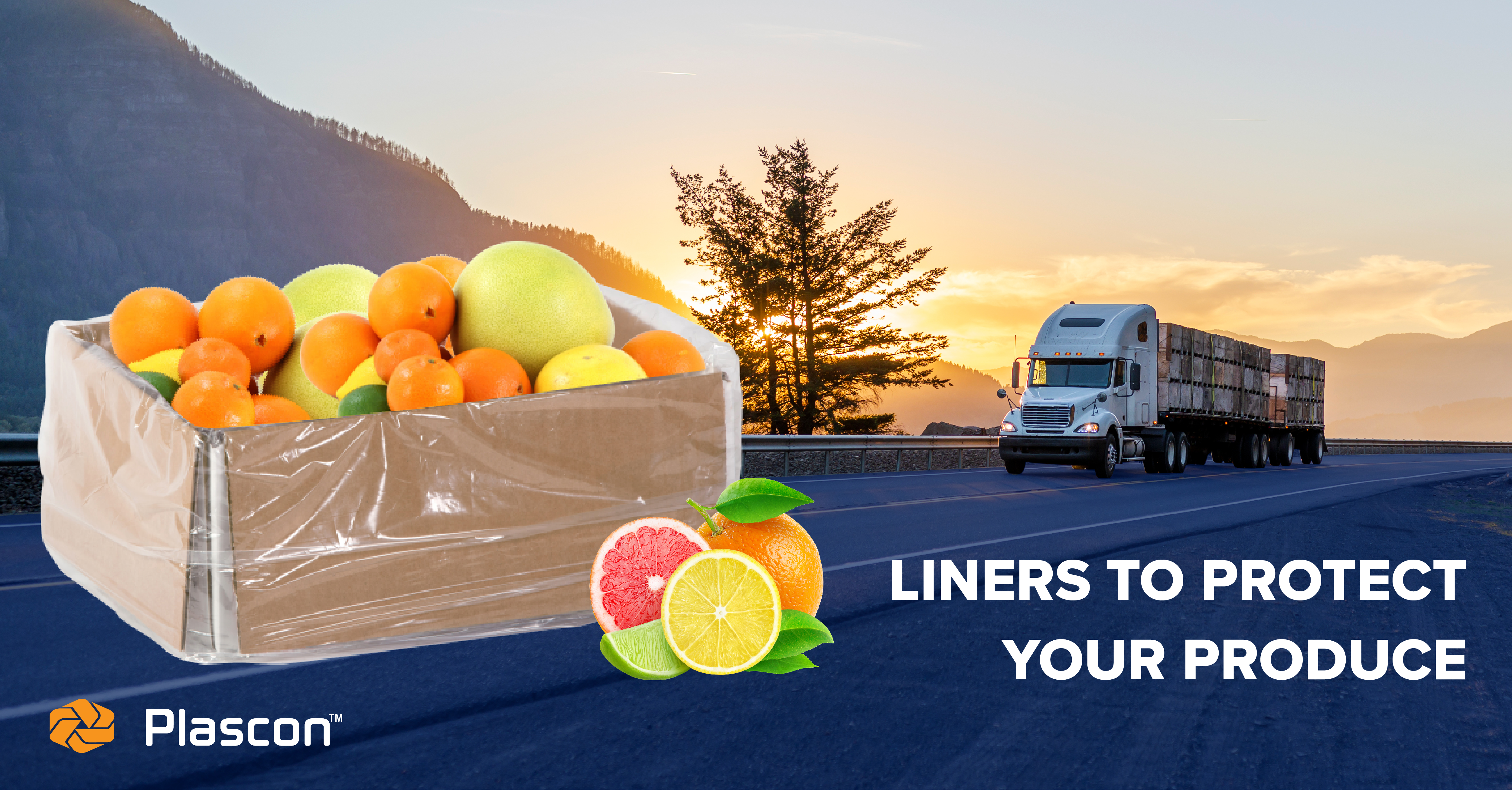 Delivering Seasonal Foods for Maximum Freshness